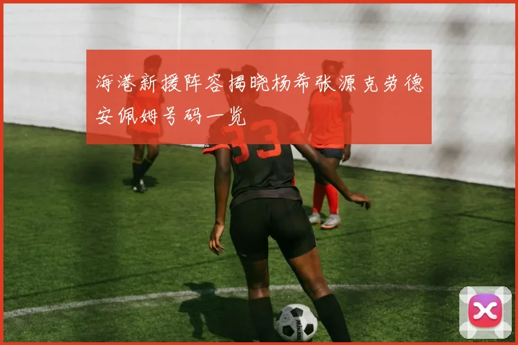海港新援阵容揭晓杨希张源克劳德安佩姆号码一览