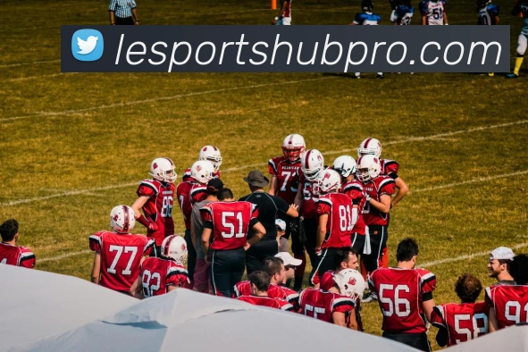 App Interface Preview